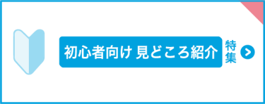 初心者向け　見どころ紹介