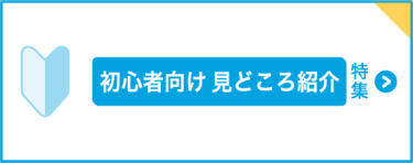 初心者向け見どころ紹介