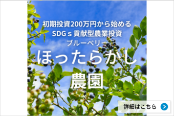 初期投資200万円から始めるSDGs貢献型農業投資ブルーベリー「ほったらかし農園」